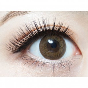 FLANMY Dark Mocha 10片裝